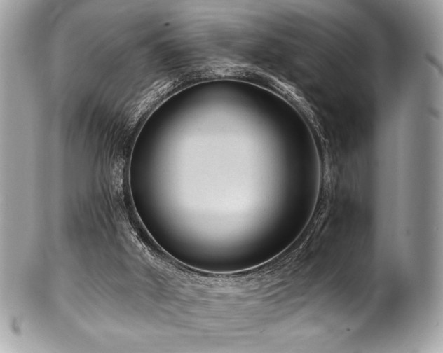 X0000102310010200807251450