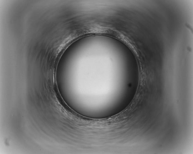 X0000102310011200807251450