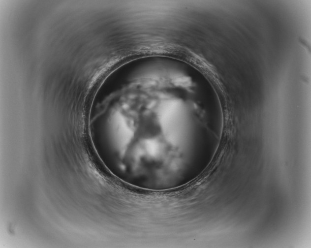 X0000102310012200807251450