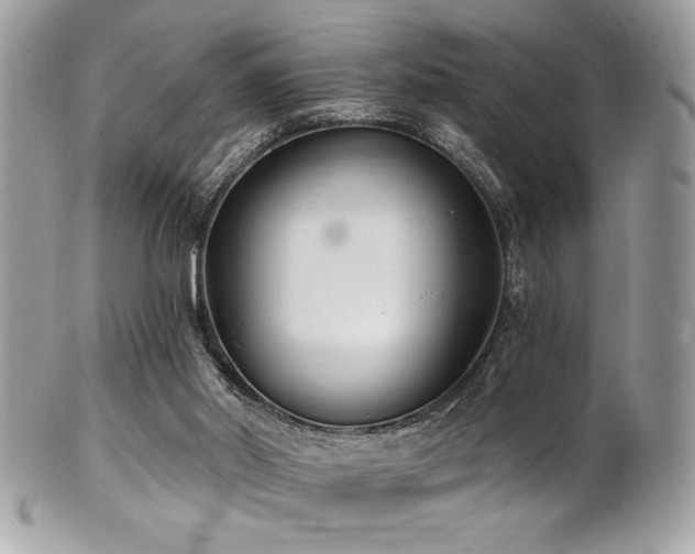 X0000102310014200807251450