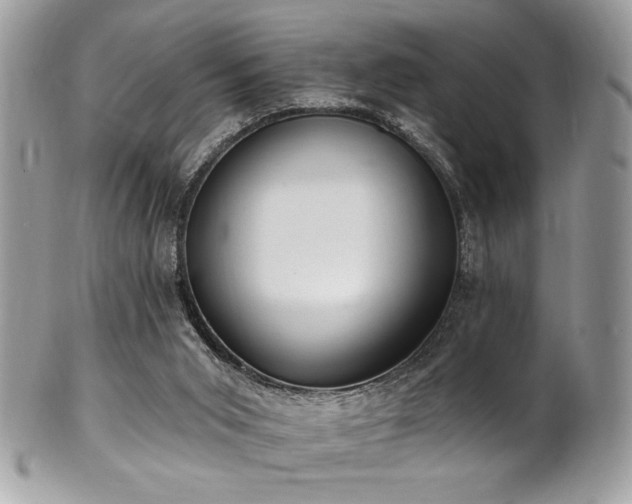 X0000102310015200807251450