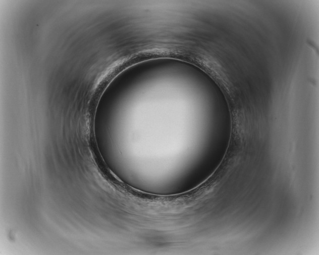 X0000102310016200807251450