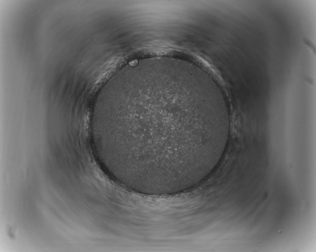 X0000102310018200807251450