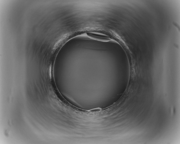 X0000102310019200807251450