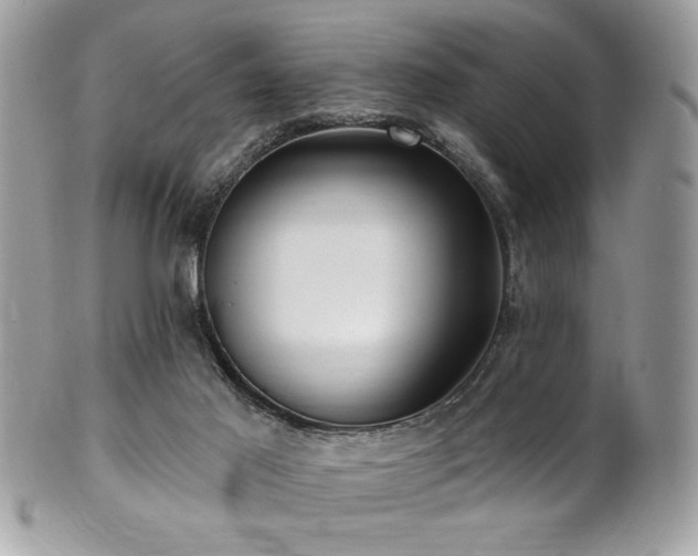 X0000102310021200807251450