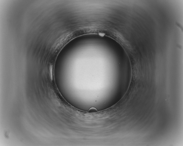 X0000102310022200807251450