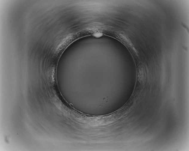 X0000102310023200807251450