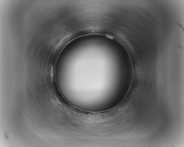 X0000102310024200807251450