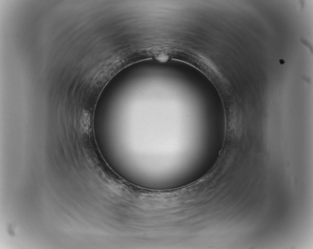 X0000102310025200807251450