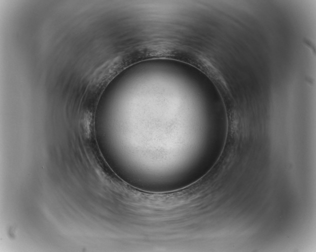 X0000102310026200807251450