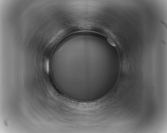 X0000102310027200807251450