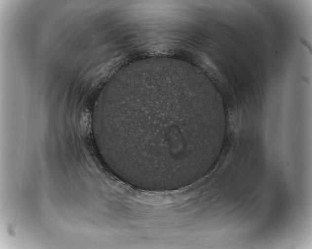 X0000102310029200807251450