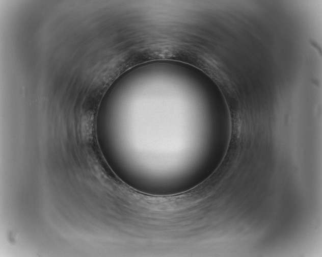 X0000102310030200807251450