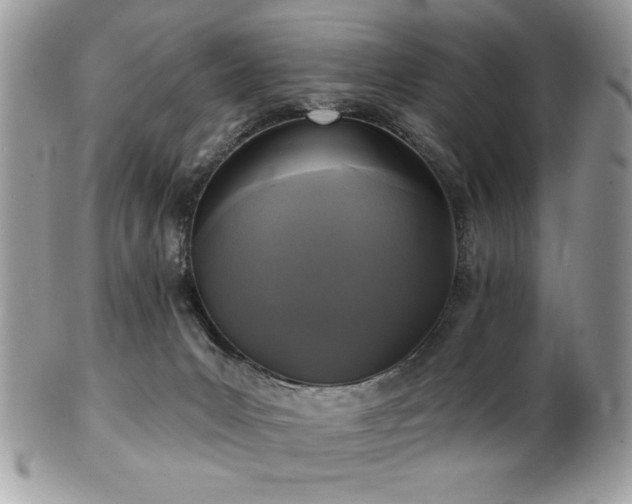 X0000102310031200807251450