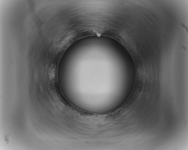 X0000102310032200807251450