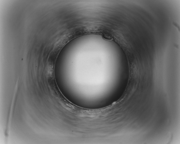 X0000102310033200807251450