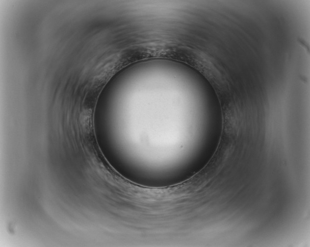 X0000102310034200807251450