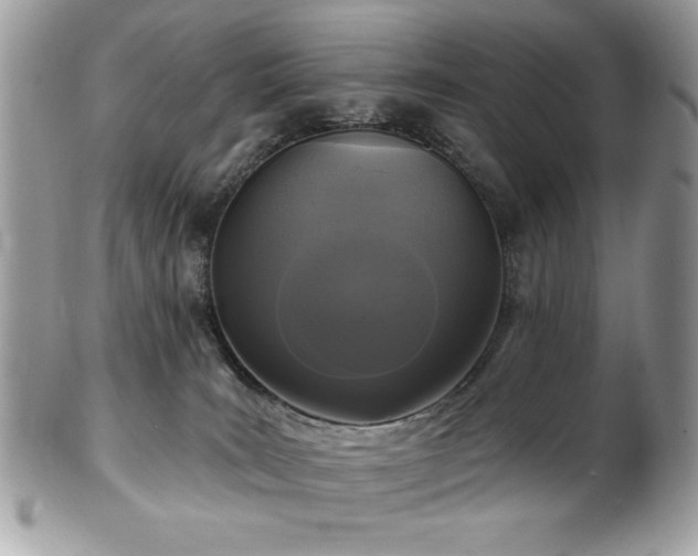 X0000102310035200807251450