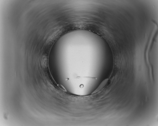 X0000102310036200807251450