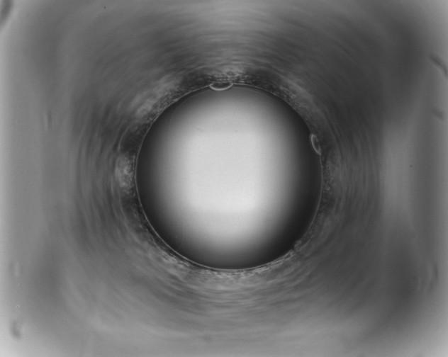 X0000102310037200807251450