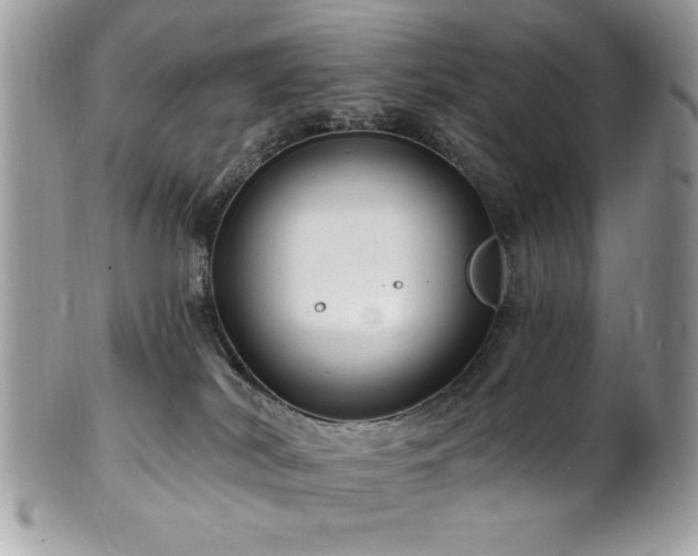 X0000102310038200807251450