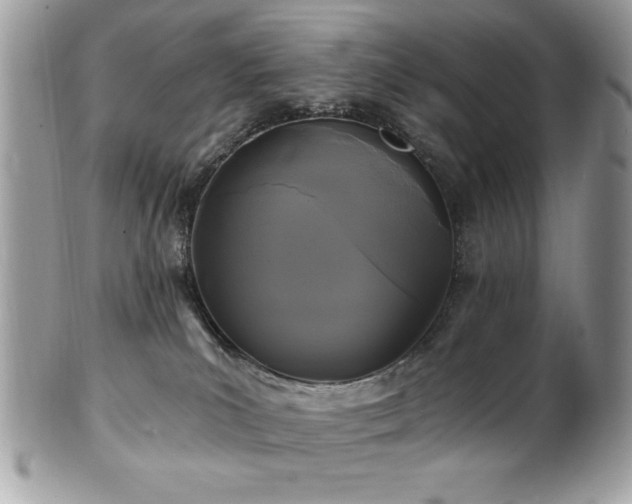 X0000102310039200807251450