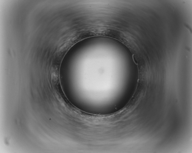 X0000102310040200807251450