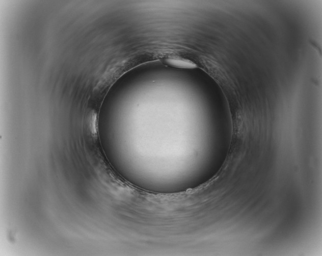 X0000102310041200807251450