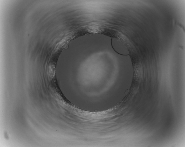 X0000102310043200807251450