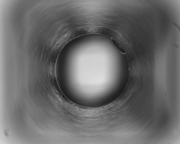 X0000102310044200807251450