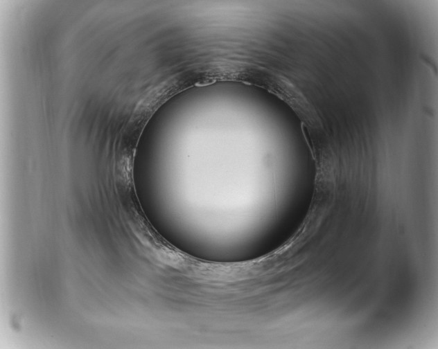 X0000102310045200807251450