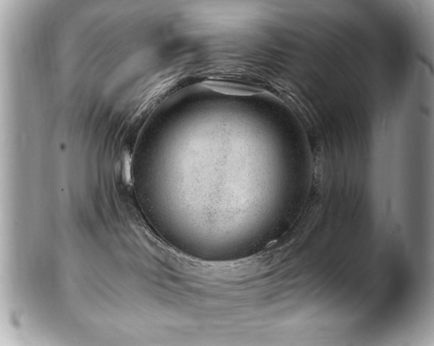 X0000102310046200807251450