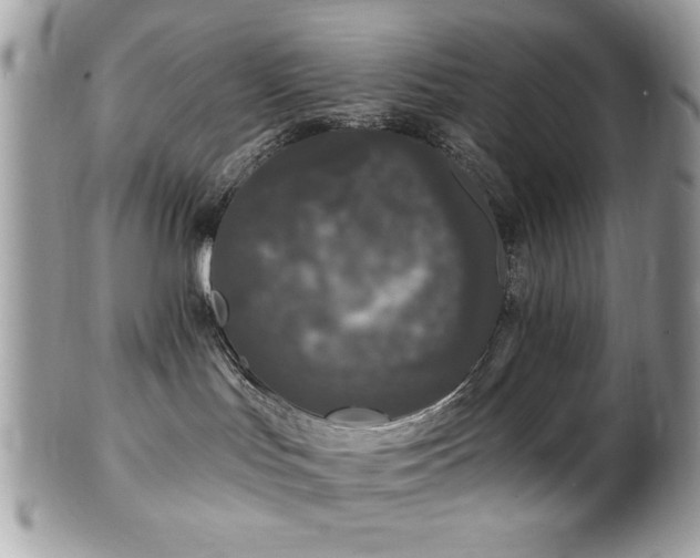 X0000102310047200807251450