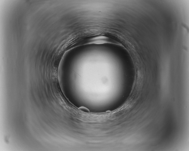 X0000102310048200807251450