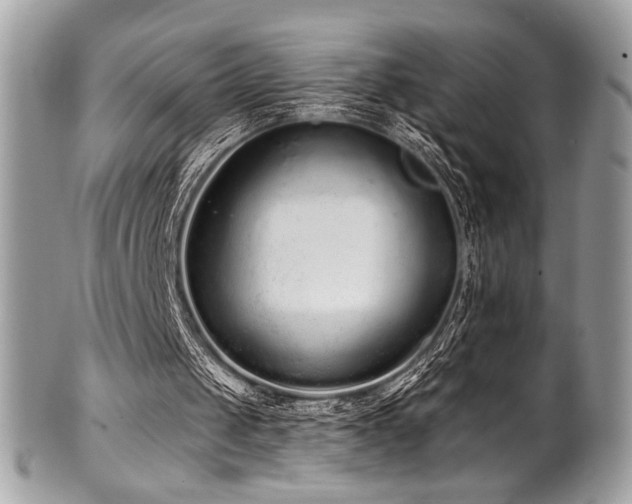 X0000102310049200807251449