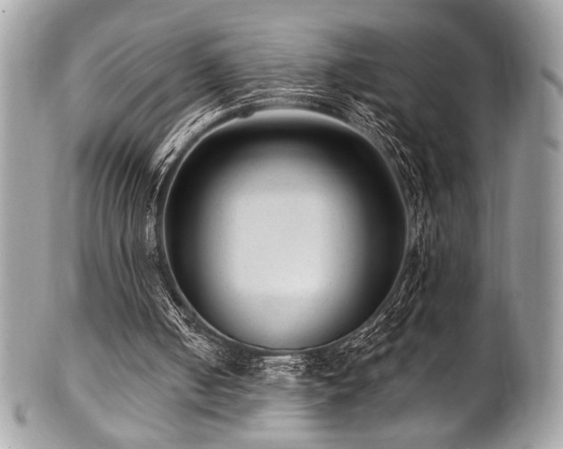 X0000102310050200807251449