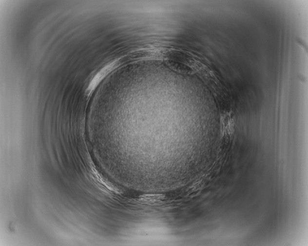 X0000102310051200807251449