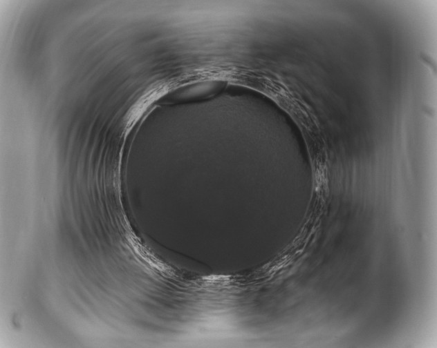 X0000102310052200807251449