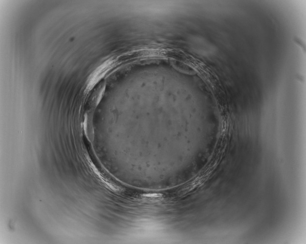 X0000102310053200807251449