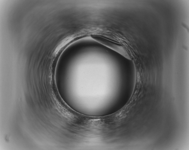 X0000102310054200807251449