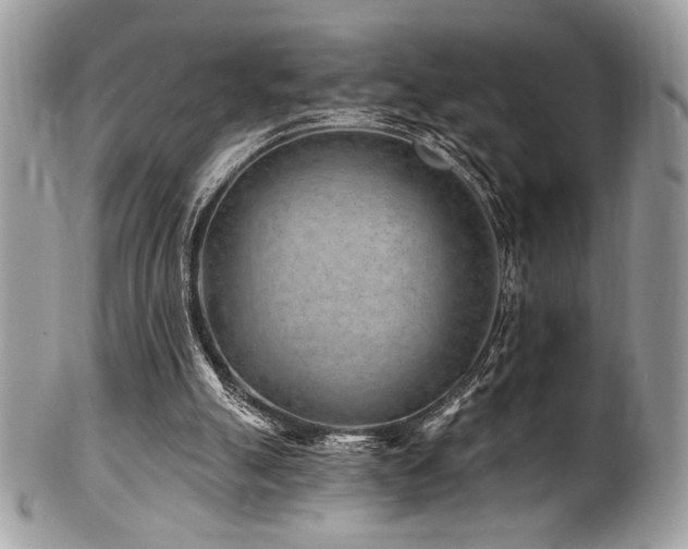 X0000102310055200807251449