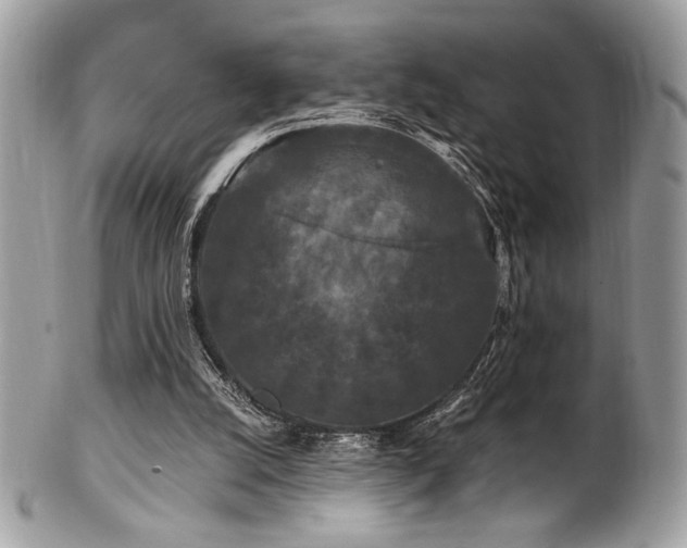 X0000102310056200807251449