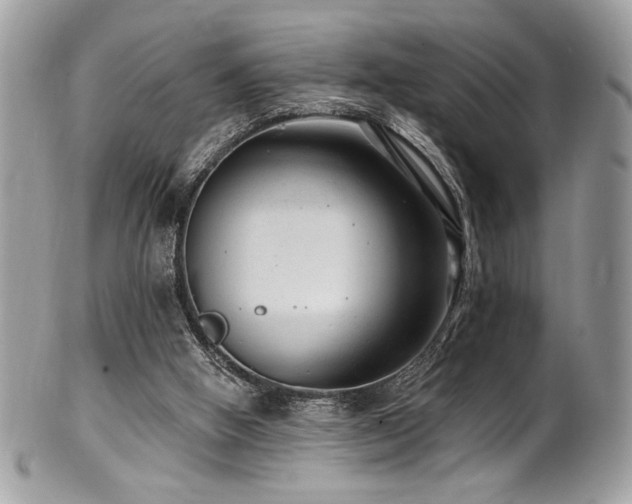 X0000102310058200807251449