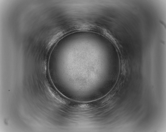 X0000102310059200807251449