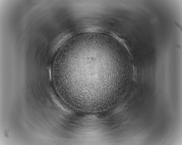 X0000102310061200807251449