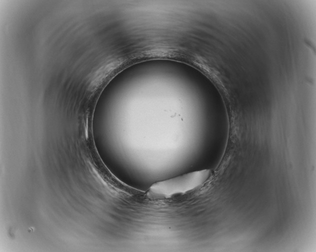 X0000102310062200807251449