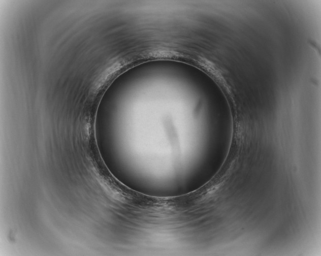 X0000102310063200807251449