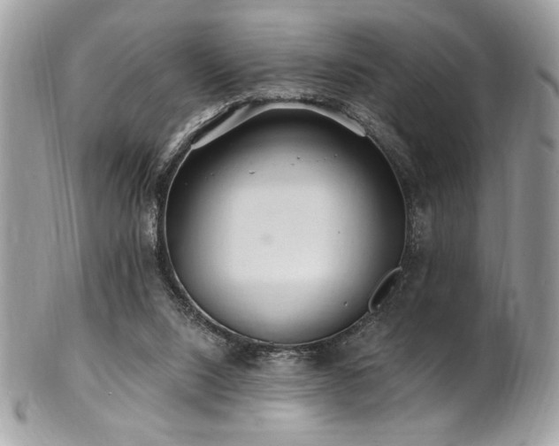 X0000102310064200807251449