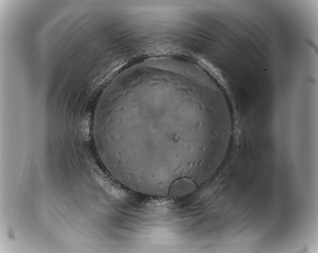 X0000102310065200807251449