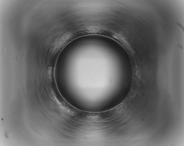 X0000102310066200807251449